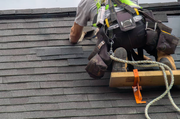 Storm Damage Siding Repair in Bagdad, FL